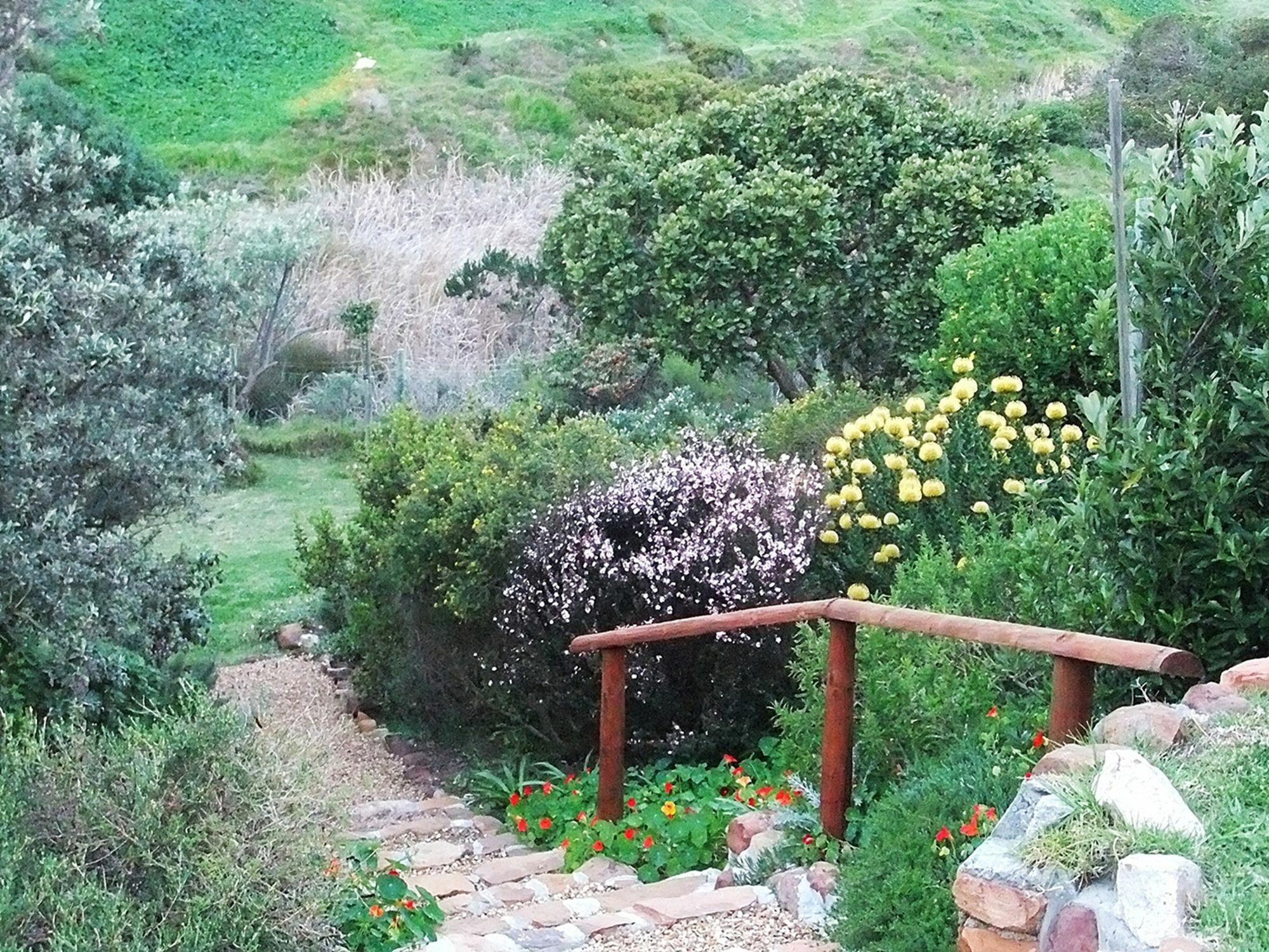 Makapa Lodge Kapstaden Exteriör bild